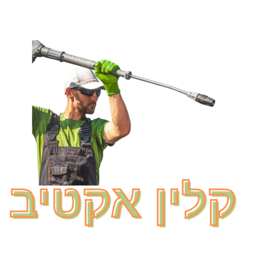 קלין אקטיב